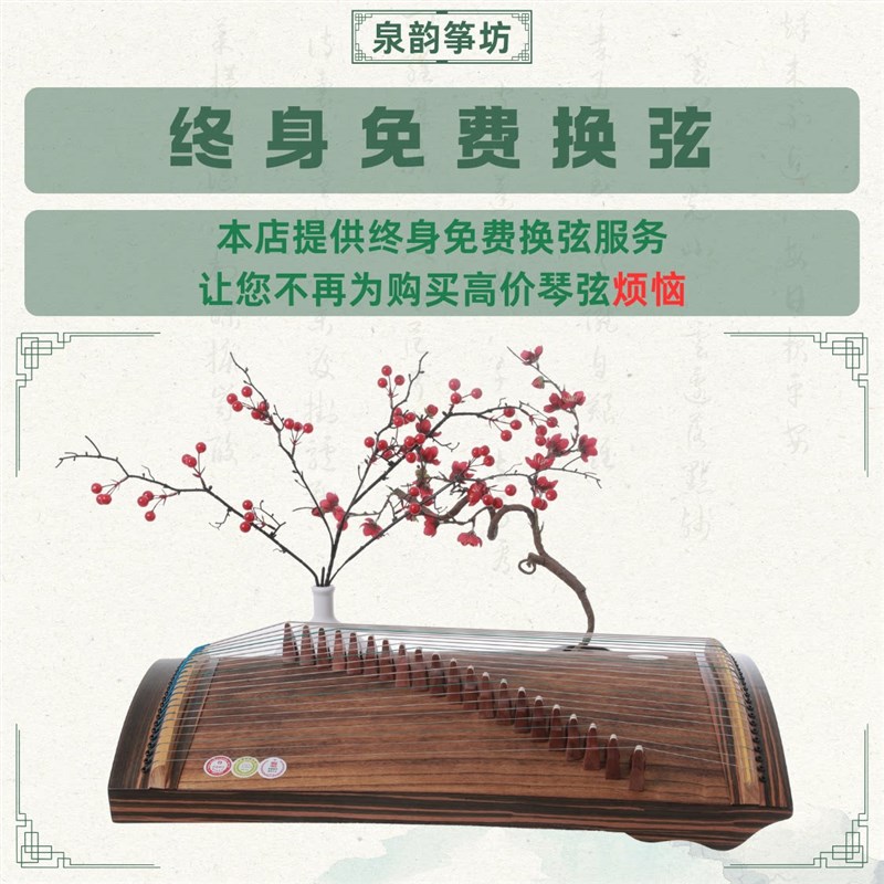 古筝21弦14弦迷你小型便携式练指器古筝琴儿童初学者琴弦小古筝