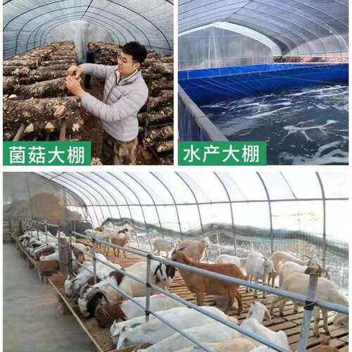 大棚钢管骨架种植蔬菜花卉养殖鸡羊大棚连联体椭圆管全套温室大棚