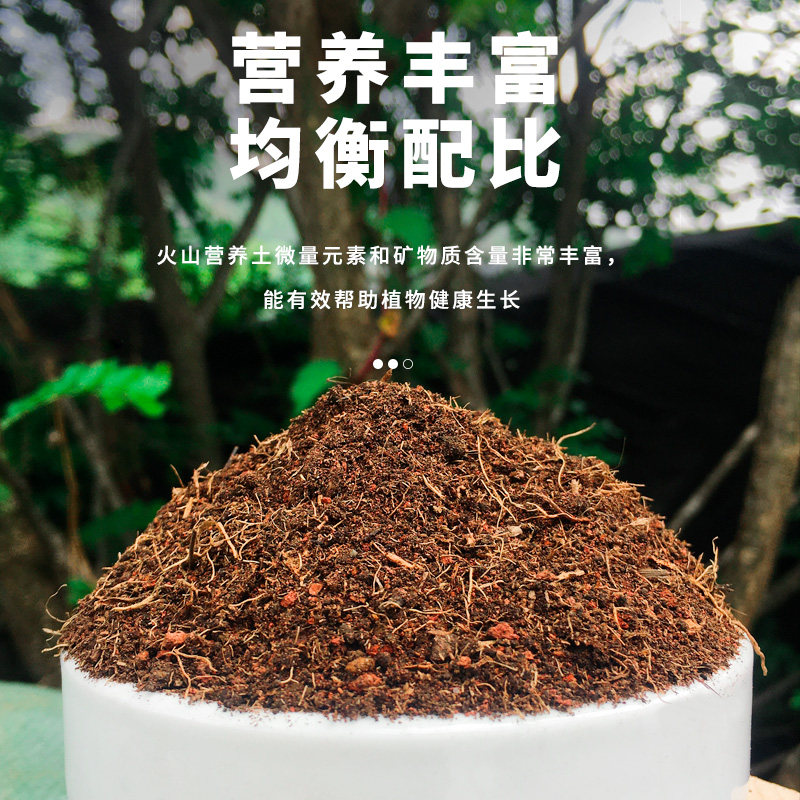 火山营养土通用型100斤大包多肉绿植养花种菜专用椰糠腐叶颗粒土
