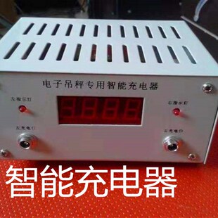 沃众今迈大成亚太腾飞吊秤电池无线吊钩秤吊磅通用配件充电器天线