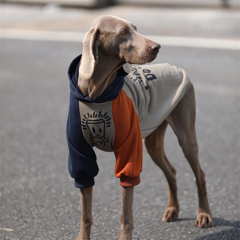 大狗衣服拉布拉多金毛边牧春秋防掉毛卫衣宠物连帽中大型犬衣服