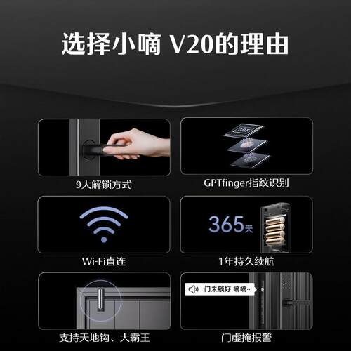 德施曼智能门锁指纹锁密码锁家用防盗入户门电子锁智能锁小嘀V20