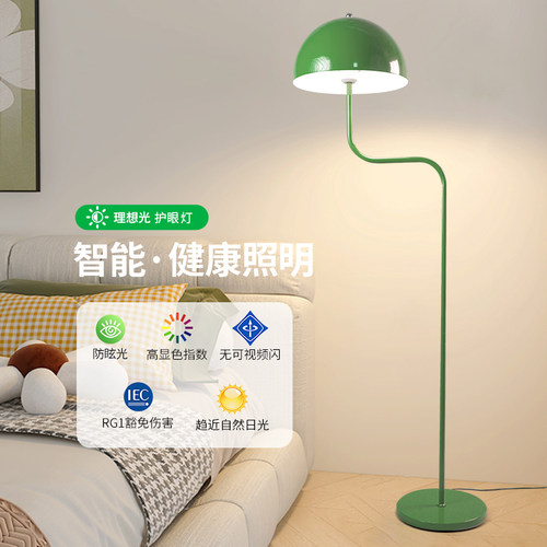 设计感落地灯客厅沙发现代简约卧室床头灯气氛灯装饰落地台灯J167