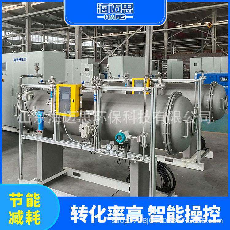 山东海迈思加工定制工业级臭氧发生器污水消毒废气处理臭氧机