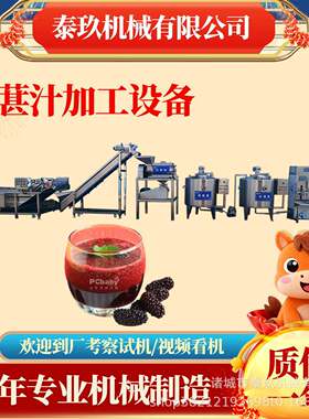 浙江安吉桑葚汁灌装生产线奇异果汁加工机器小型蓝莓汁加工设备