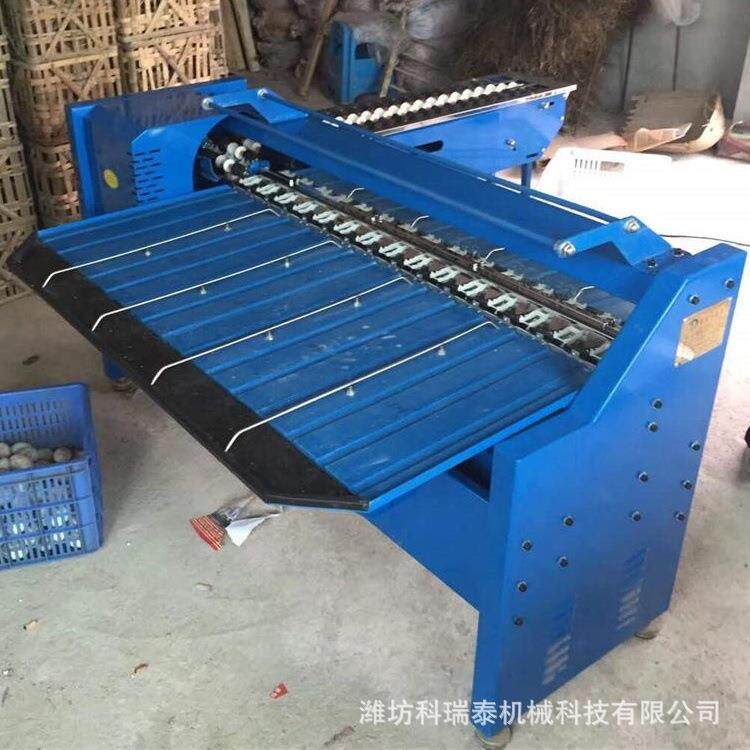 皮蛋分选机 鸡蛋鸭蛋重量分级机 小型种蛋分选机机械分级精准度