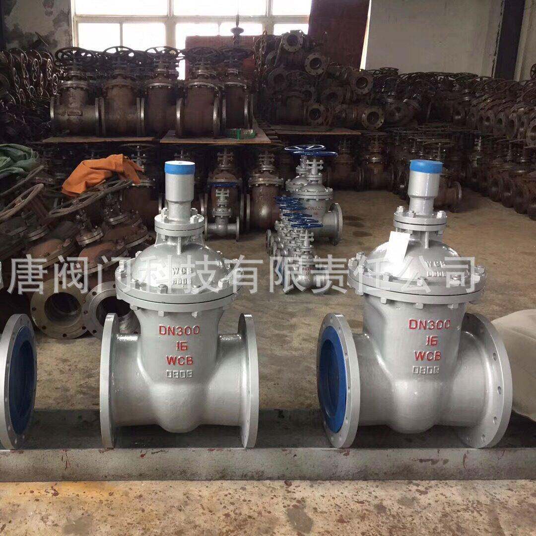 FDZ45H-16C加密暗杆铸钢闸阀 防盗锁闭闸阀 油田管道用暗杆闸阀