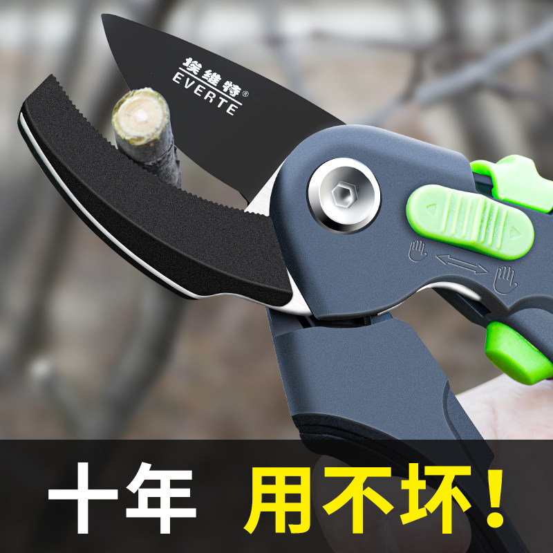 剪树枝专用剪刀修枝剪果树修枝修剪树枝园艺剪刀花艺剪枝花剪园林图片
