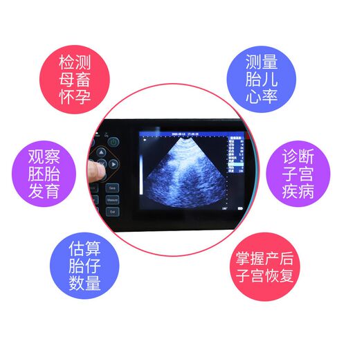 兽用b超机便携牛羊用犬猫超声波母猪用b超机测孕仪宠物怀孕B超仪