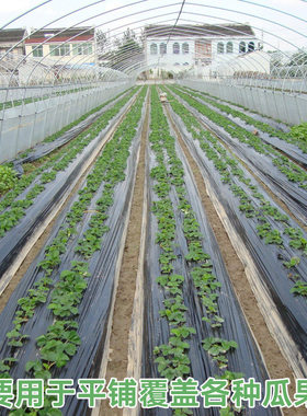 地膜农用加厚银黑双色地膜种植黑膜地膜打孔薄膜白地膜黑地膜种菜