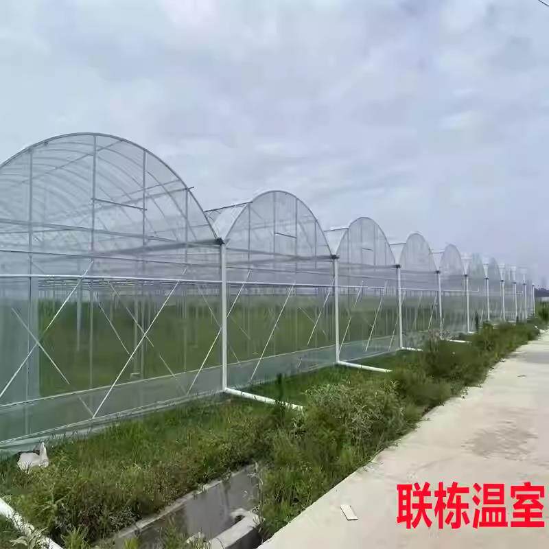 弯管骨架直管热浸镀锌钢管大棚拱大棚钢管