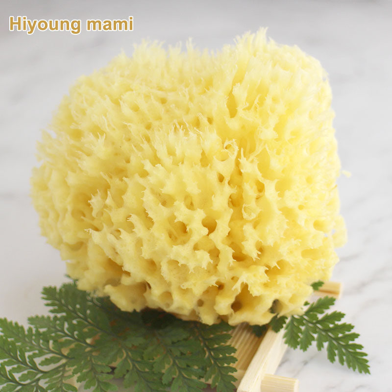 新生宝宝婴儿洗澡脸希腊进口天然蜂窝海绵儿童沐浴球棉搓澡巾柔软