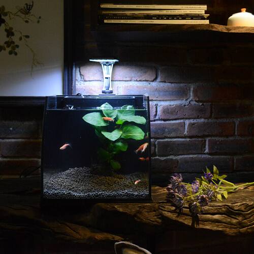 鱼缸迷你家用小型客厅玻璃创意桌面生态几何鱼缸懒人水族箱乌龟缸
