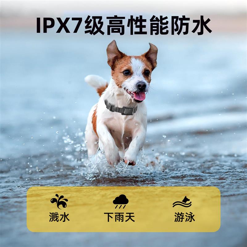 遥控训狗器训犬器小型犬专用通用电击项圈训狗猫防狗叫扰民止吠器