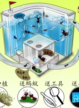 蚂蚁城堡超大型宠物生态箱生态瓶活体巢穴窝观察盒蚁后饲养盒别墅