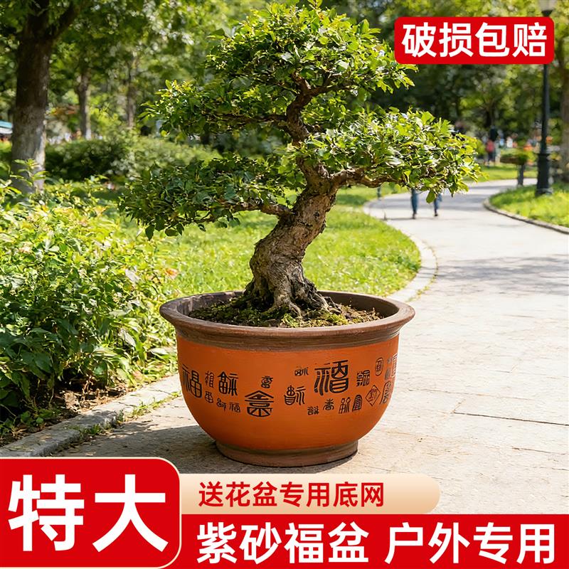 陶瓷紫砂花盆庭院透气兰花盆绿植罗汉松盆景盆大号百福盆特价包邮