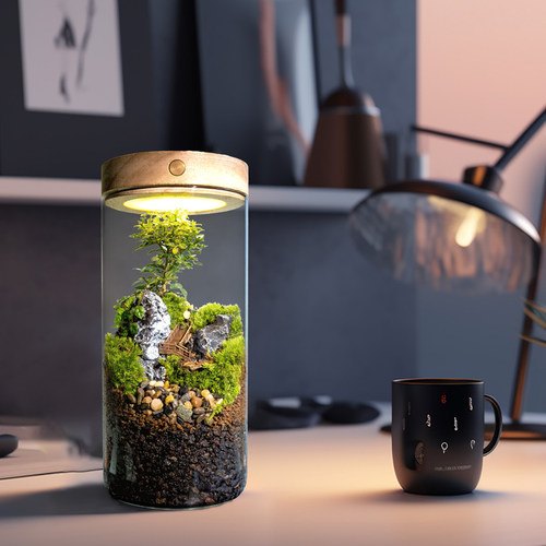 丘辰青苔藓微景观生态瓶办公室内桌面鲜活绿植DIY造景盆栽小摆件