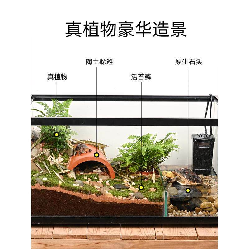 黄缘龟缸造景乌龟专用玻璃生态水陆缸带晒台半水龟大型饲养箱别墅