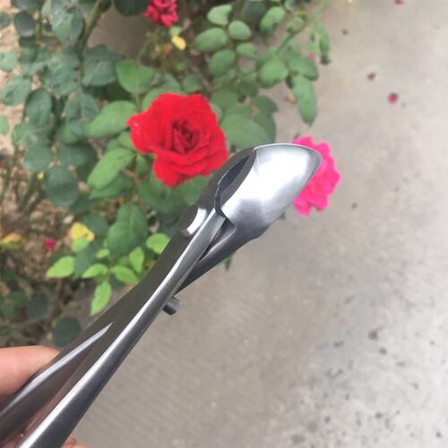 昌国不锈钢斜球剪球节剪带斜口剪双用剪叶芽剪叉枝剪盆景制作工具