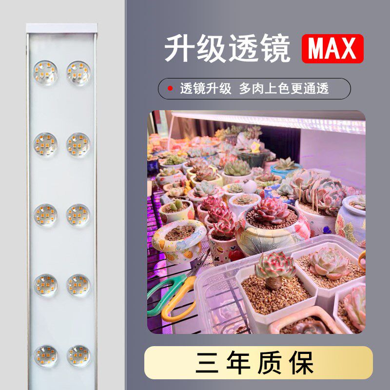 正阳多肉聚光通透自然家用上色防徒长全光谱植物补光灯室内带支架