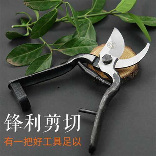 老式望儿山修枝剪果树树枝剪刀园艺省力树花盆栽粗枝剪果园花艺剪