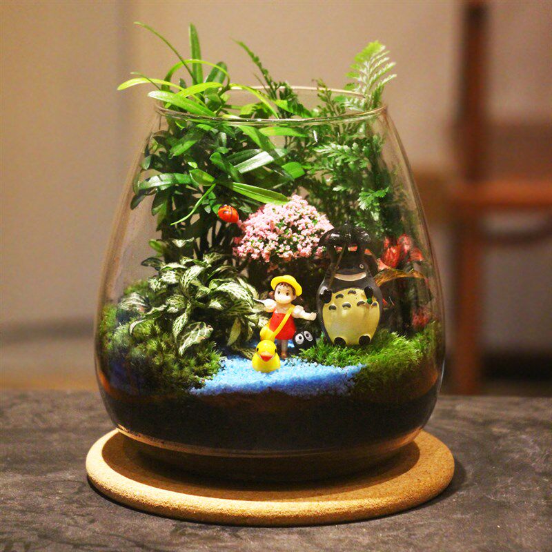 创意迷你植物苔藓微景观办公绿植 乔迁微盆景生态瓶圣诞节盆栽