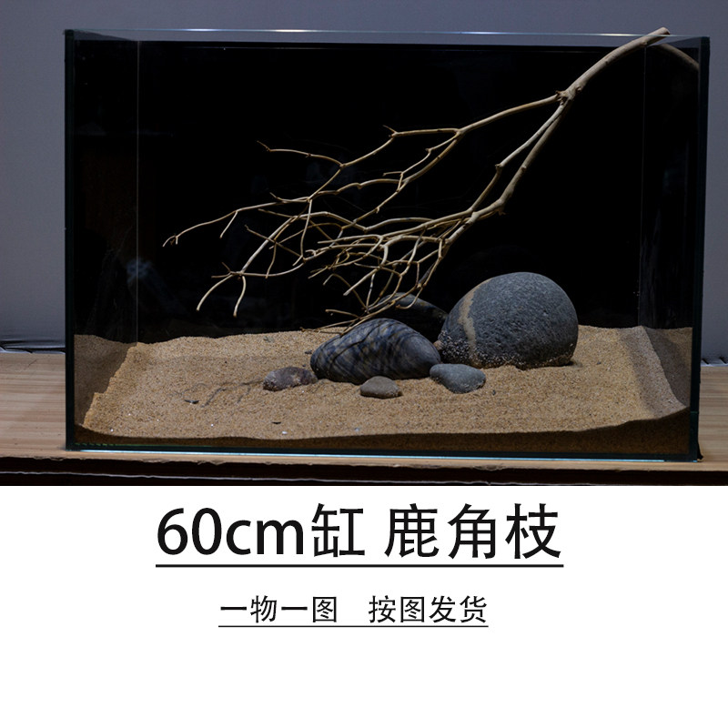南美鹿角枝鱼缸造景树枝沉木溪流缸枯枝60缸枝条组合鹿角枝沉木
