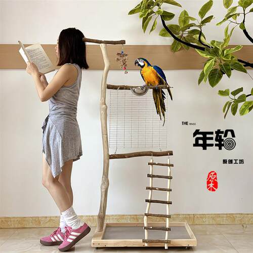 大鹦鹉站架树枝鸟站架落地式训鸟架超大号架养原木鸟架中大型用品