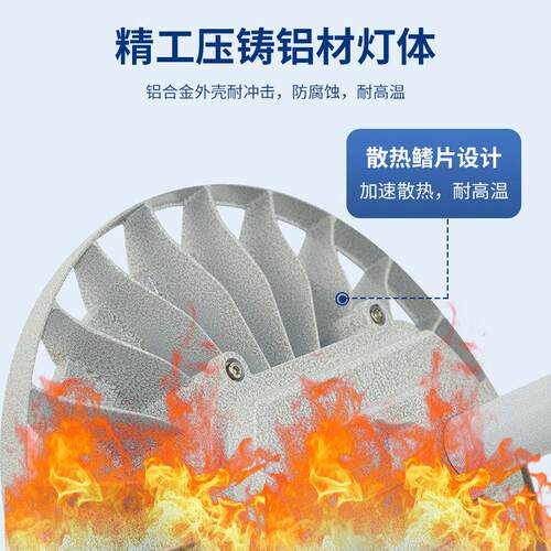 森本(SENBEN)LED防爆防水防腐三防平台灯杆路灯照明灯发电站化
