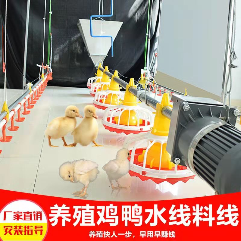 养殖场鸡舍自动喂料机鸡用喂食器养鸡场大棚全套配件鸭舍料线水线