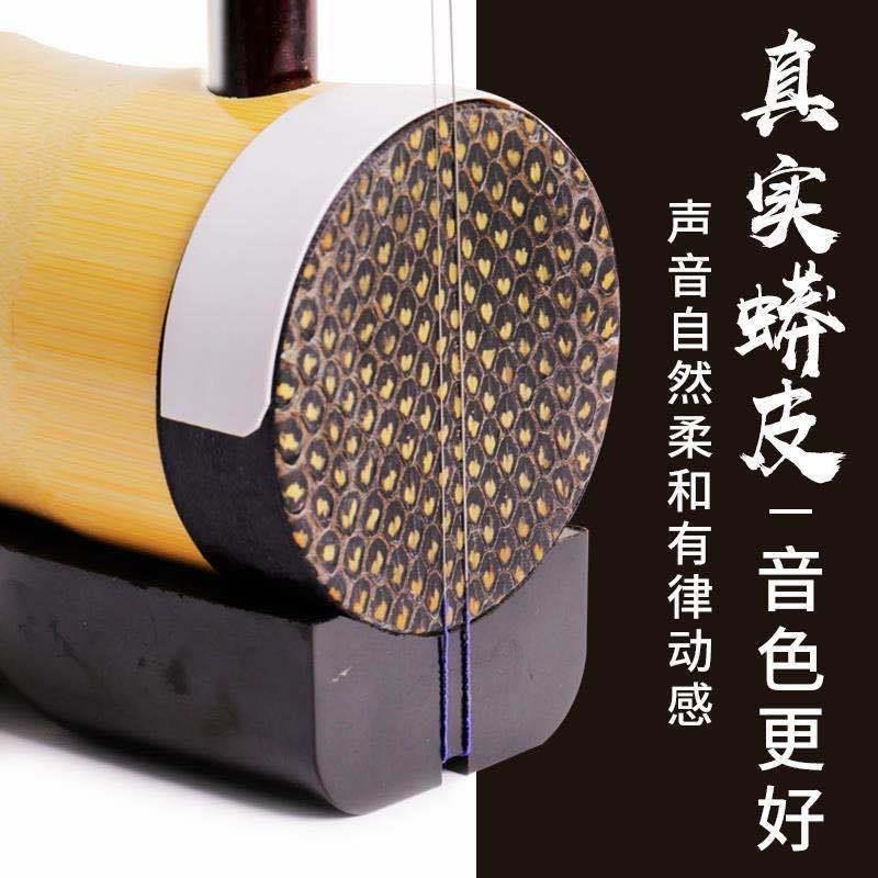 圆筒二胡全套专业演奏高档湖南花鼓戏大筒铜轴竹筒民族乐器二胡琴
