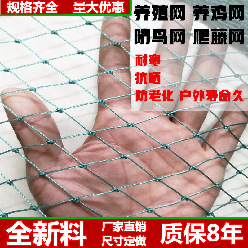 定制 防鸟网 养殖网 养鸡网 爬藤网