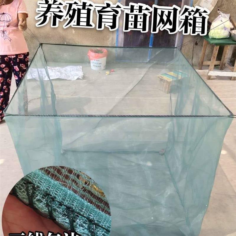 养鱼网箱10目3毫米大尺寸网箱泥鳅黄鳝龙虾鱼苗养殖网箱隔断拉网