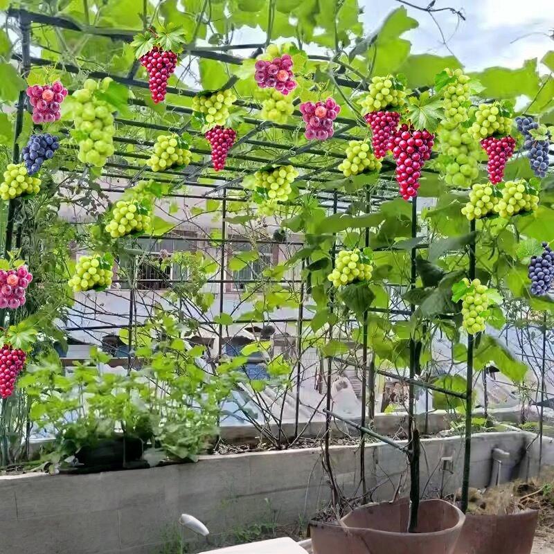 植物爬藤架爬藤支架奇异果搭棚子支架植物支撑杆蔬菜阳台蔬菜爬架