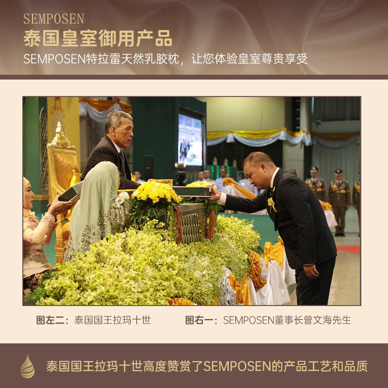 泰国原装进口乳胶枕头芯纯天然橡胶枕头芯正品硅胶枕护颈椎助睡眠