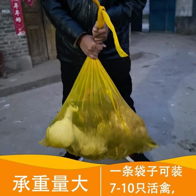 装活禽网兜装鸡鸭的网袋子纱网大号家禽塑料尼龙编织袋加密小网眼