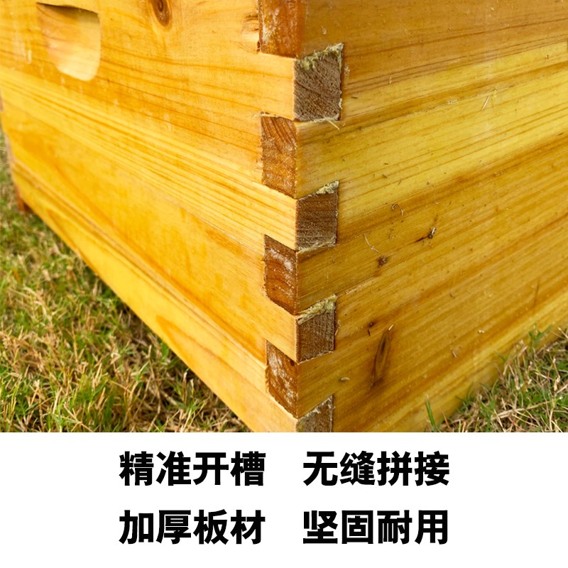 中蜂蜂箱全套蜜蜂诱蜂箱十框七框标准杉木土蜂箱意蜂新型蜂桶养蜂