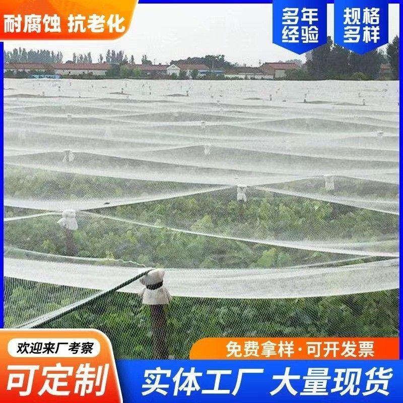 防鸟防雹网加厚果园菱形网樱桃葡萄农用专用网抗晒抗风化厂家直销