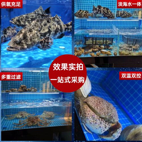 可移动海鲜池饭店鱼缸商用海鲜制冷一体机水产海鲜缸贝类螃蟹虾池