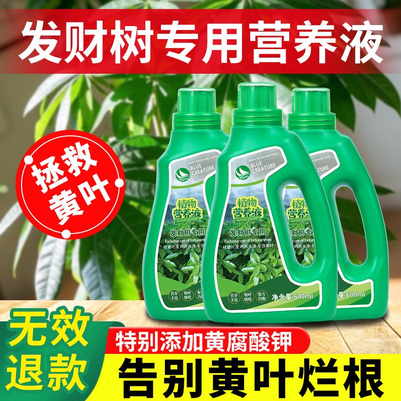 发财树专用营养液防黄叶枯叶烂根专用营养液发财树营养肥有机肥料