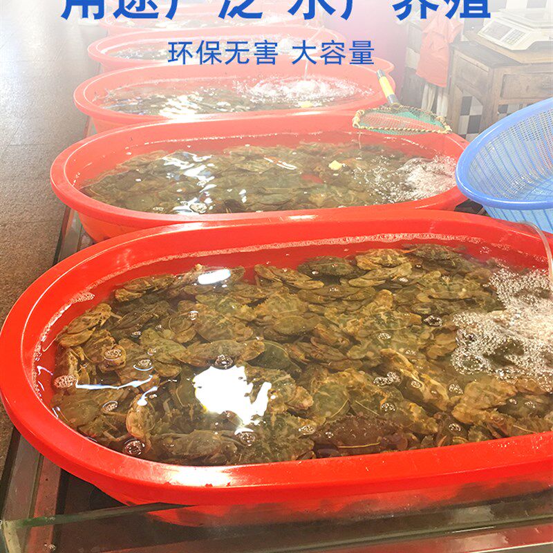 超厚不烂长方形塑料盆红色洗澡盆白色鱼虾土元养殖专用盆洗衣服盆