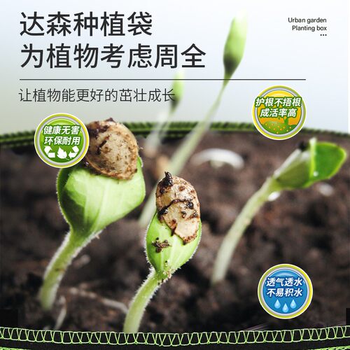 种美植袋加厚绿边黑色五线无纺布种树育苗花盆特大毛毡种花菜蔬果