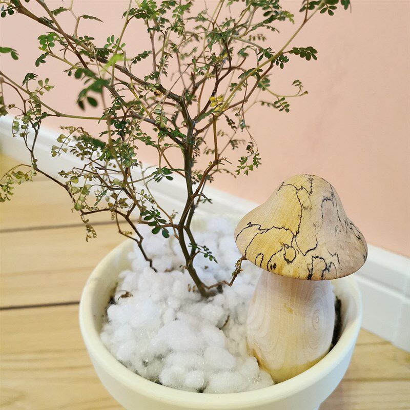 手工实木小蘑菇牙签筒桌面装饰摆件创意个性牙签盒子餐厅客厅家用