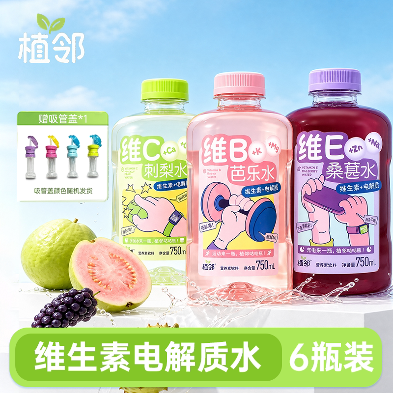 【植邻】维生素电解质水夏日解渴果味/风味/果汁饮料