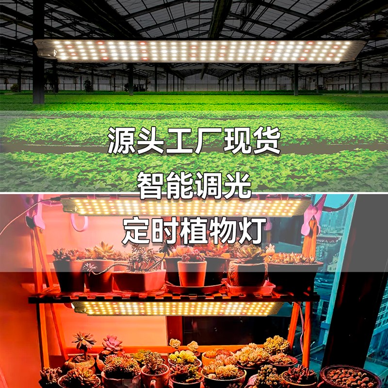 植物补光灯全光谱多肉花架专用量子板防徒上色专用LED灯仿太阳光图片