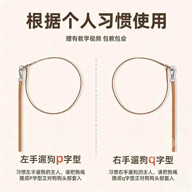 比赛P绳宠物牵引绳狗绳子P链训犬狗链金毛萨摩边牧大中型小犬项圈
