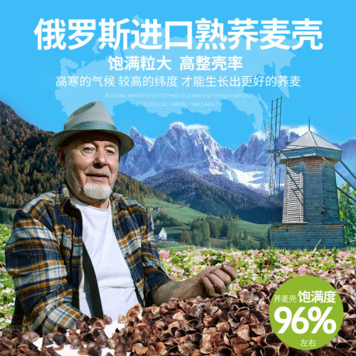 ALEX荞麦枕头一对护颈椎学生枕芯全荞麦皮双人荞麦壳单人大人儿童