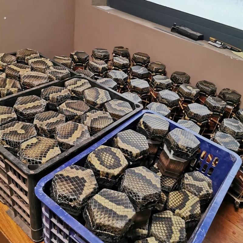 传统手工鞔皮高品质二胡 紫檀二胡