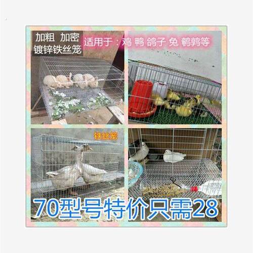 镀锌铁丝笼养殖笼鸡笼鸽笼兔笼鹌鹑笼小鸡笼运输笼大号笼