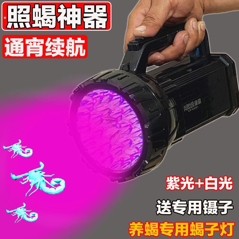 照蝎子灯专用强光超亮远射紫光手电筒蝎子灯户外头戴蝎子灯可充电